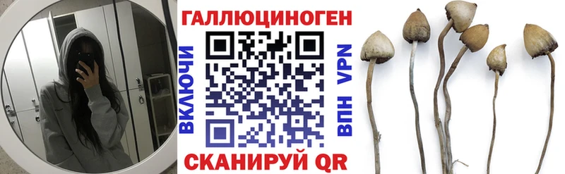 Галлюциногенные грибы мухоморы kraken tor Грозный