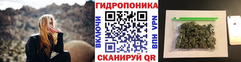даркнет сайт Грозный Марихуана OG Kush
